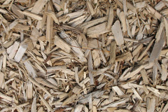 biomass boilers Tullynessle